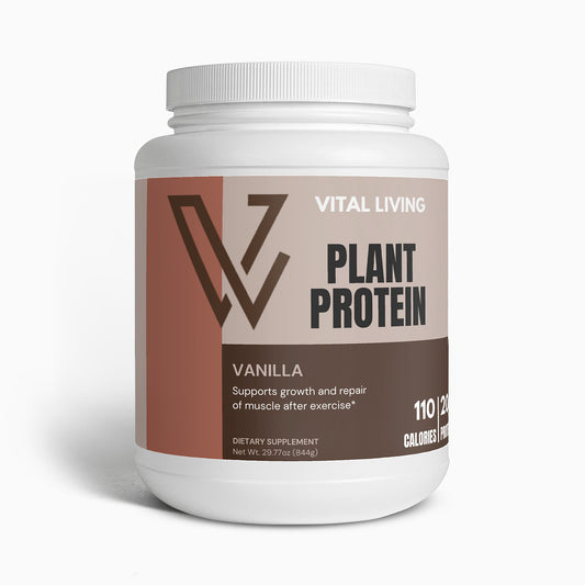 Plant Protein (Vanilla)